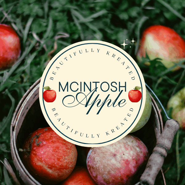 McIntosh Apple