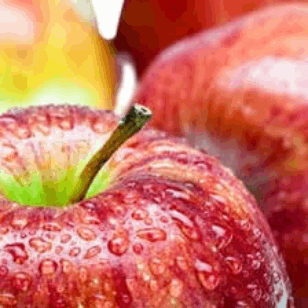 McIntosh Apple