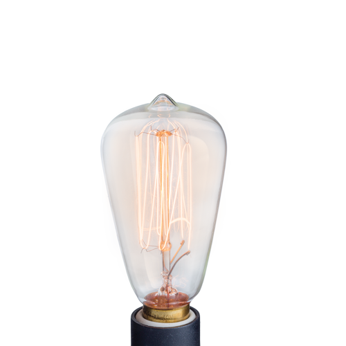 Edison Replacement Bulb- NP3